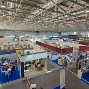 Shell Scheme Graphics